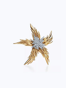 Paris Flames Brooch