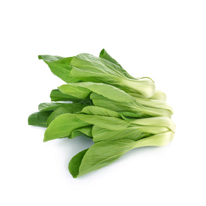 Bok Choy Chinese Cabbage Isolated