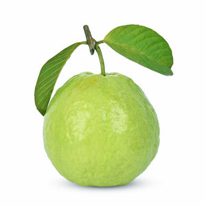 Guava Fruit Isolated