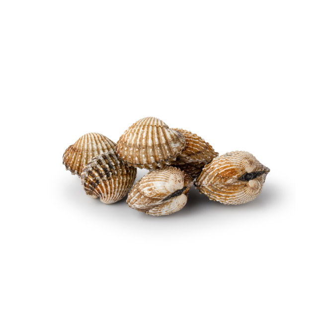 Pickled cucumbers glass jar