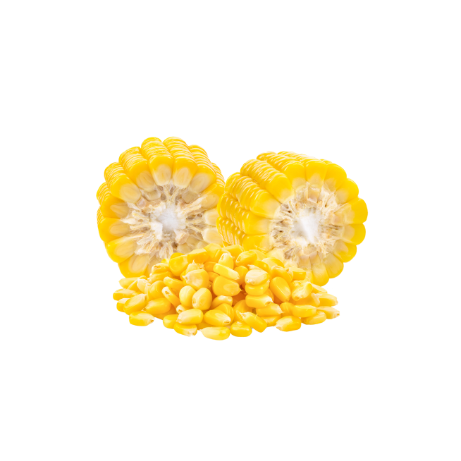 Pickled cucumbers glass jar