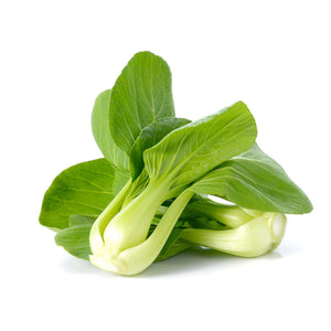 Bok Choy Chinese Cabbage Isolated